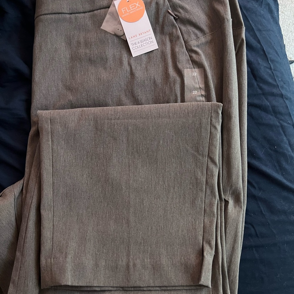 gray pants size 22